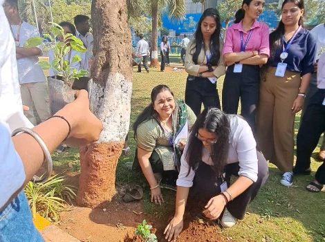 Tree Plantation Drive