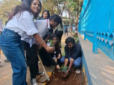 Tree Plantation Drive