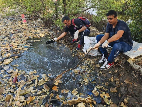 Mangrove Cleaning