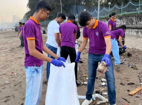 Beach Cleaning