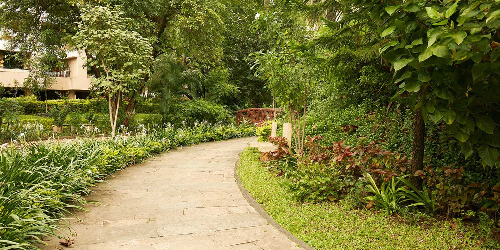 landscaped garden