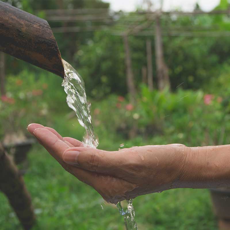 Rain Water Harvesting